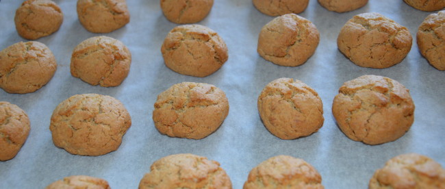 Biscotti all'avena