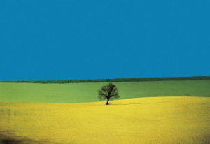 ® Franco Fontana. Puglia 1987