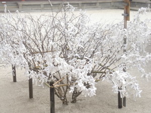 Bigliettini di preghiera nel tempio