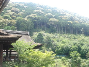 Parco intorno al tempio buddista Kiyomizu-Dera